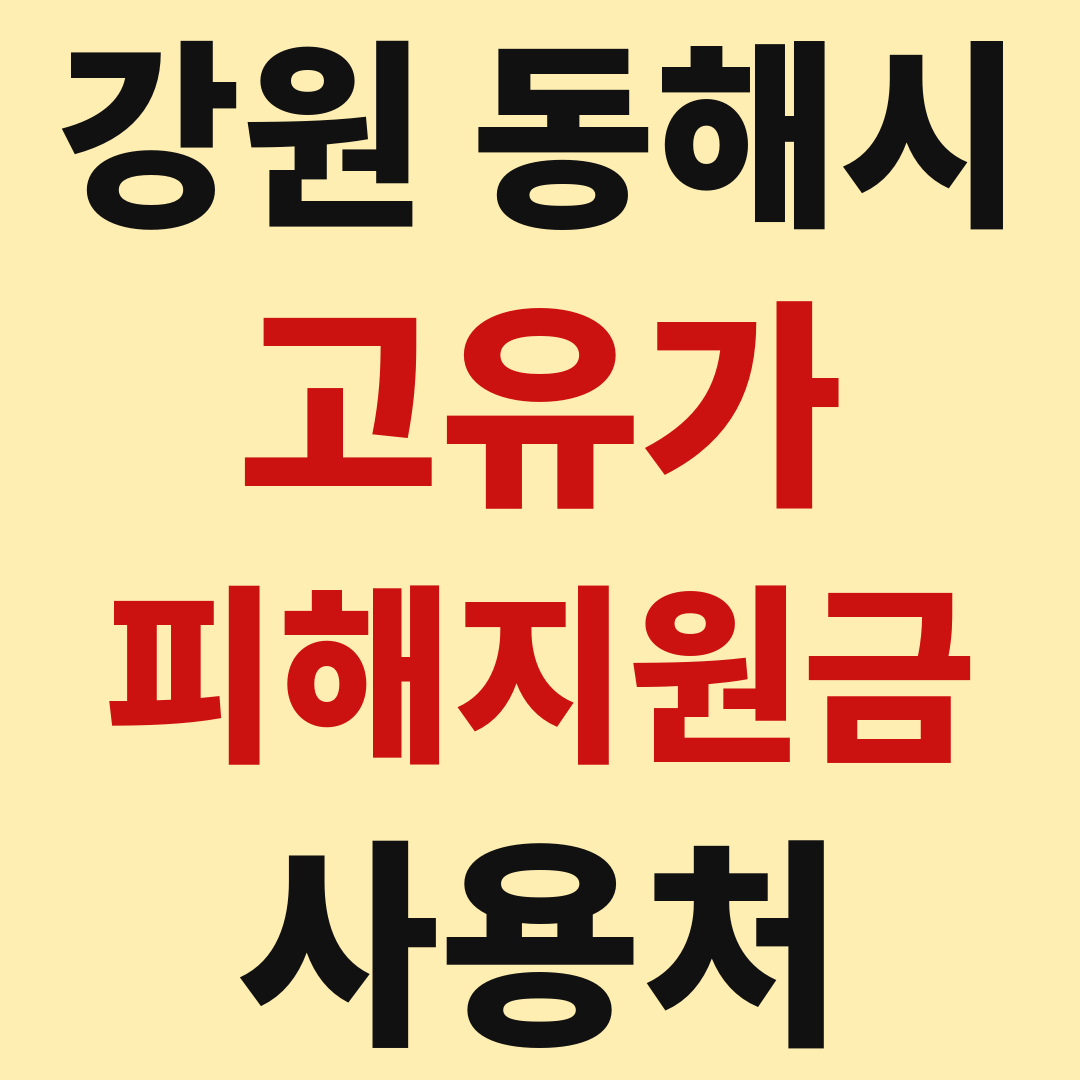 동해시 고유가 피해 민생지원금 사용처 가맹점 매장 조회 방법